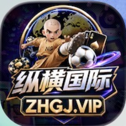 纵横国际